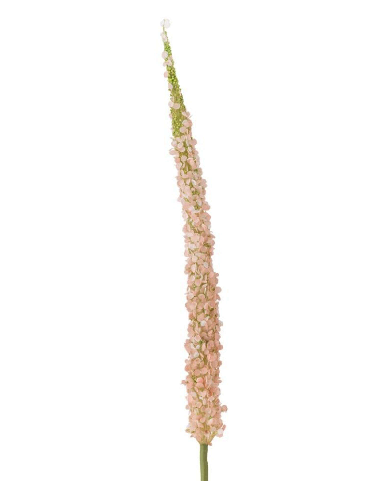Bloomingville Kunstbloem - Foxtail stem rose - H73cm