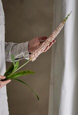Bloomingville Kunstbloem - Foxtail stem rose - H73cm
