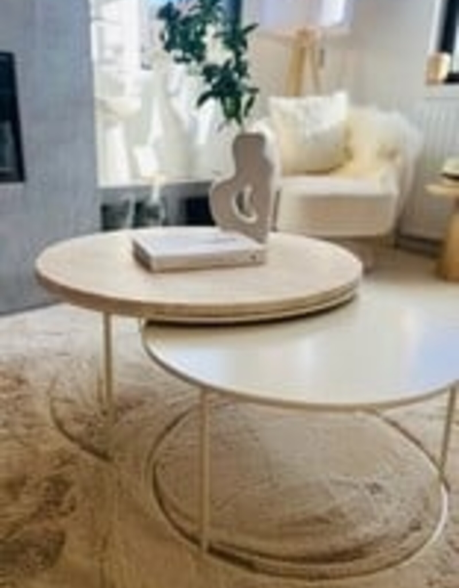 Salontafel  - Ole