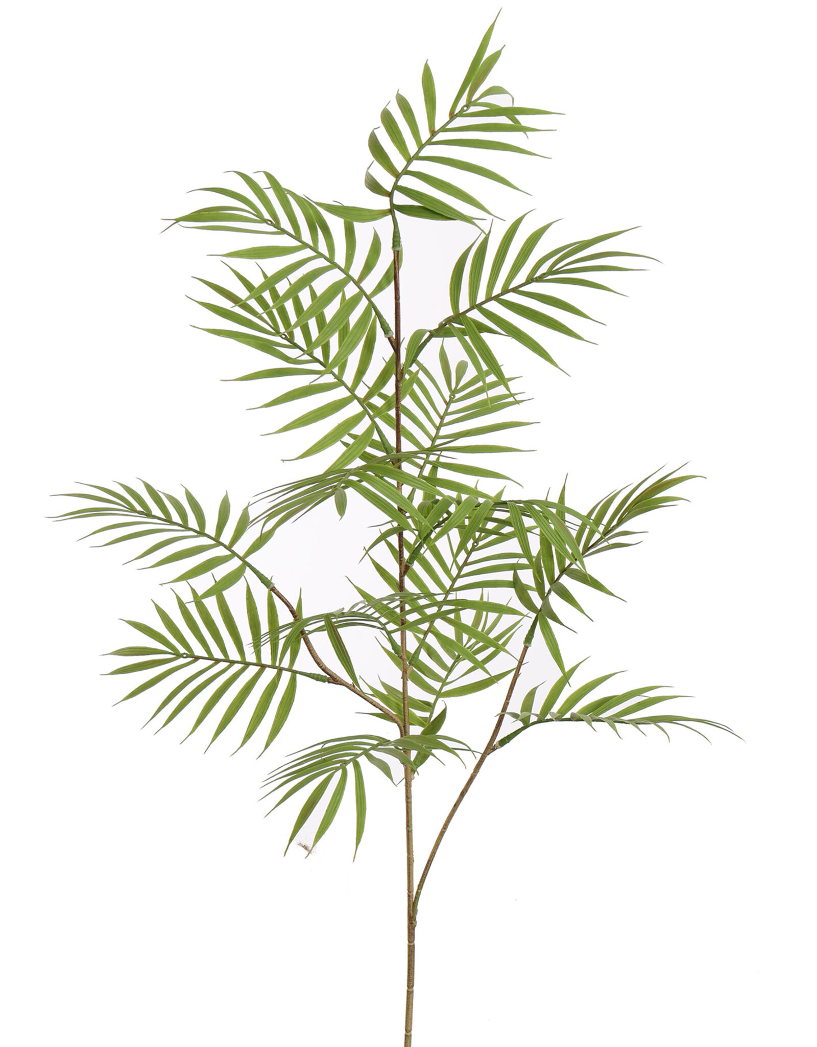 Pure Kunstbloem  - Palmblad  groen 80 cm