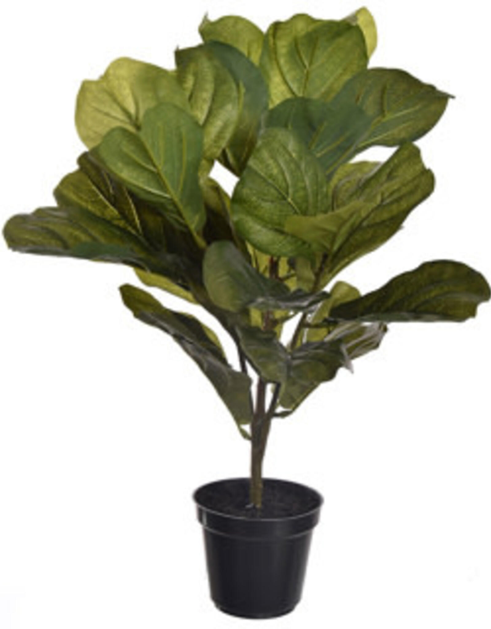 Pure Kunstplant - Fiddle 55 cm