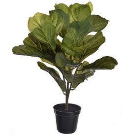 Pure Kunstplant - Fiddle 55 cm