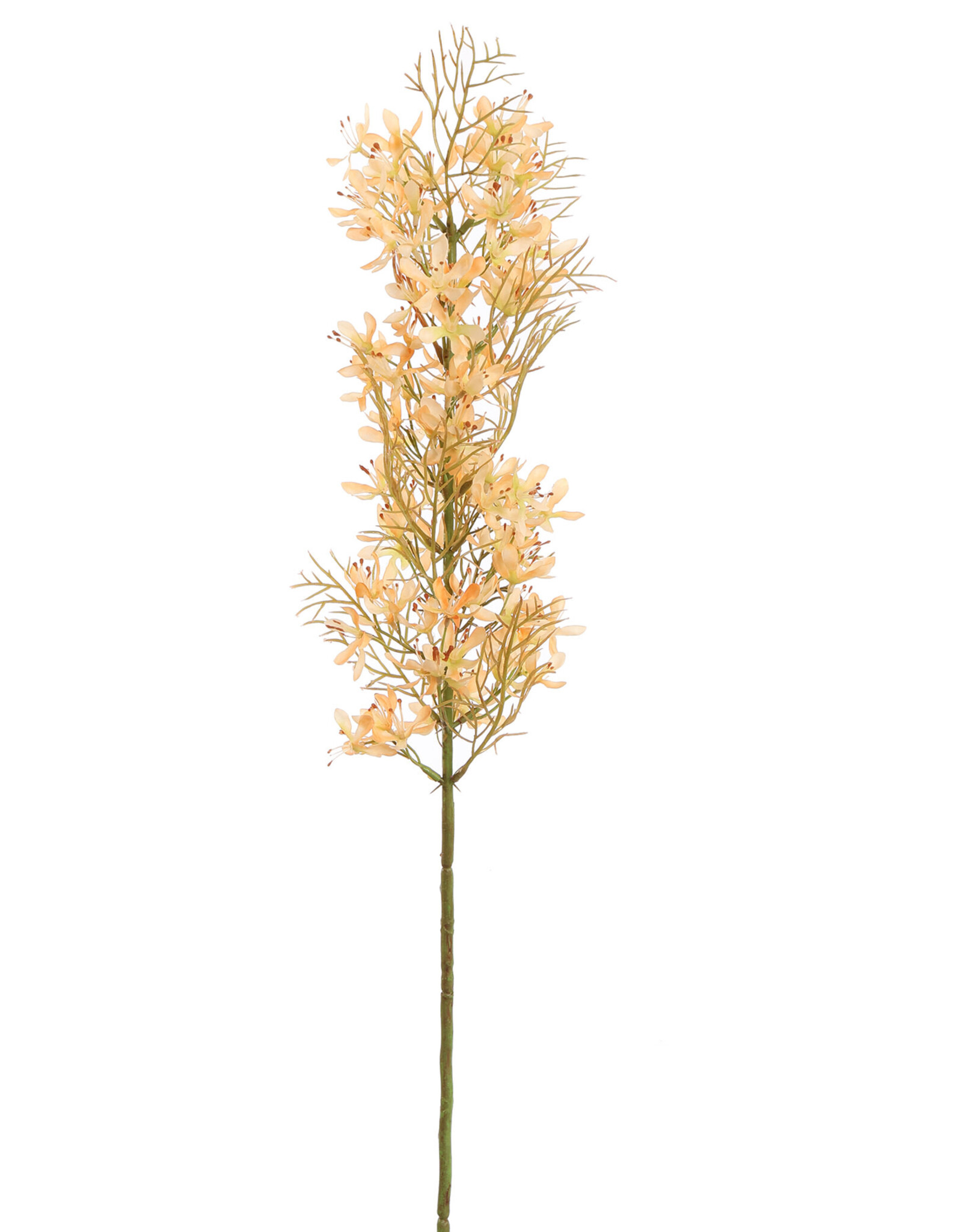 Pure Kunstbloem - Asparagus perzik 76 cm