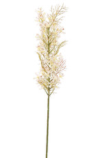 Pure Kunstbloem - Asparagus crema 76 cm