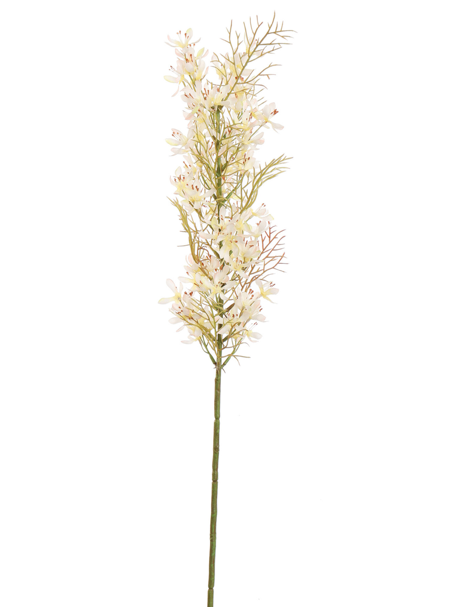 Pure Kunstbloem - Asparagus crema 76 cm