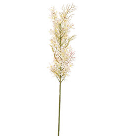 Pure Kunstbloem - Asparagus crema 76 cm