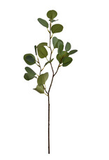 Pure Kunstbloem - Eucalyptus groen 76 cm
