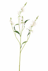 Pure Kunstbloem - Camassia cream 101 cm