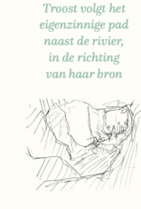 Lannoo Boek - De vallei van troost