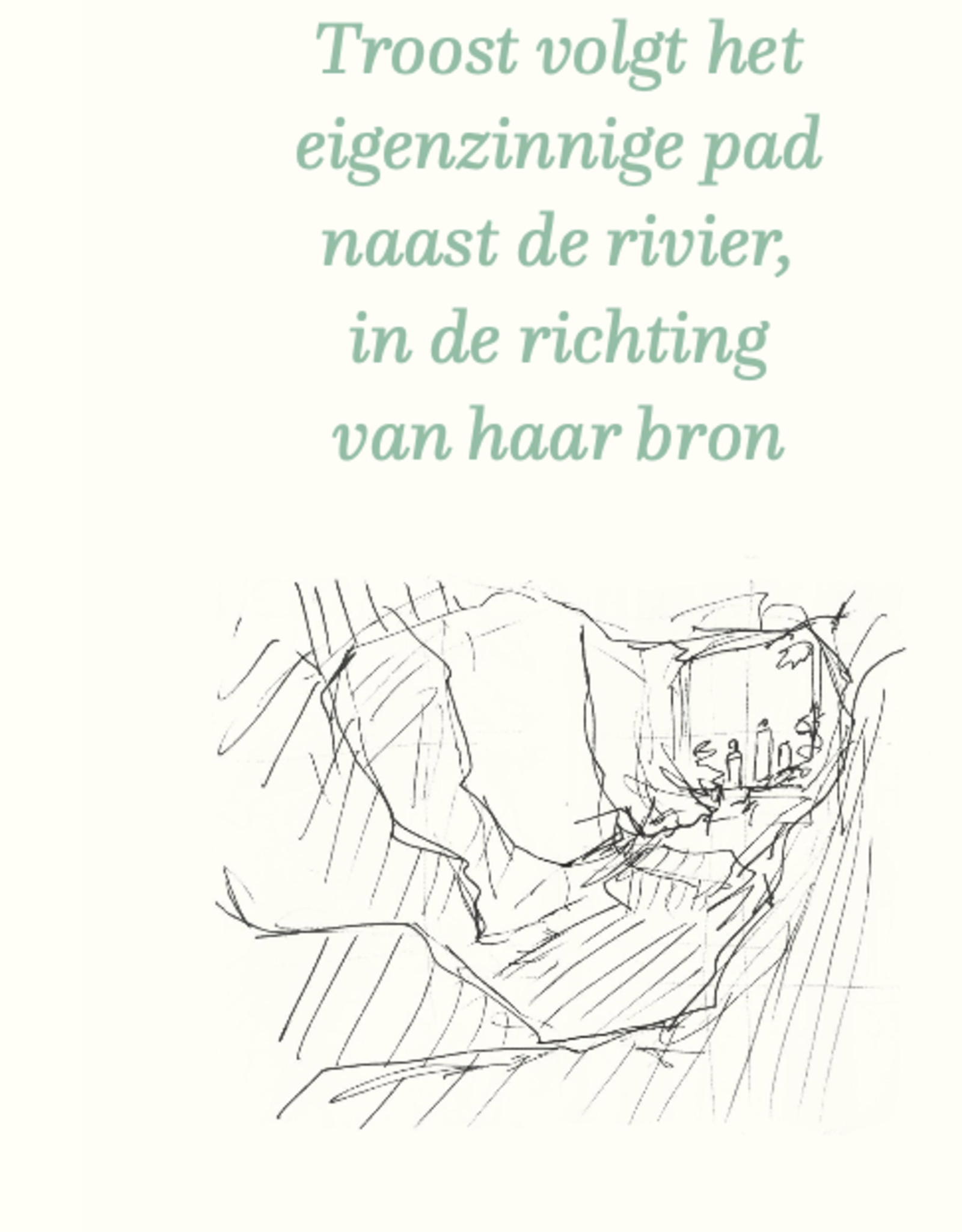 Lannoo Boek - De vallei van troost