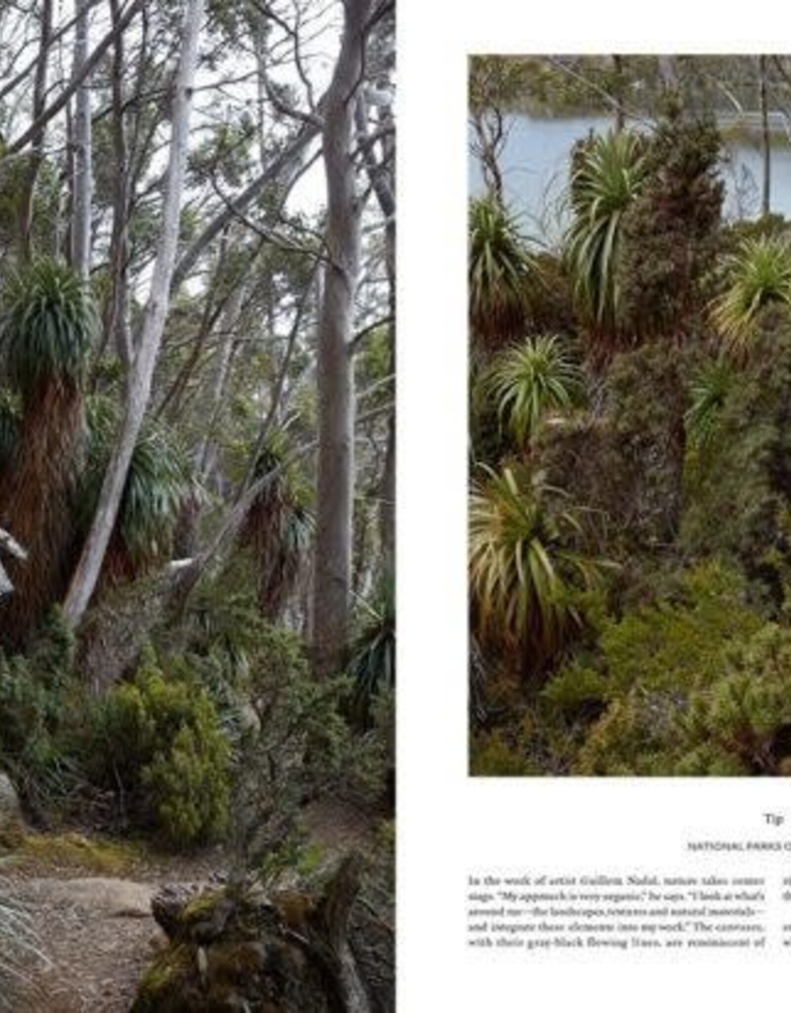 New Mags Kinfolk Travel