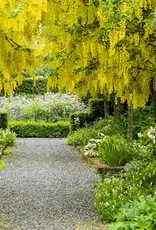 New Mags New Nordic Gardens