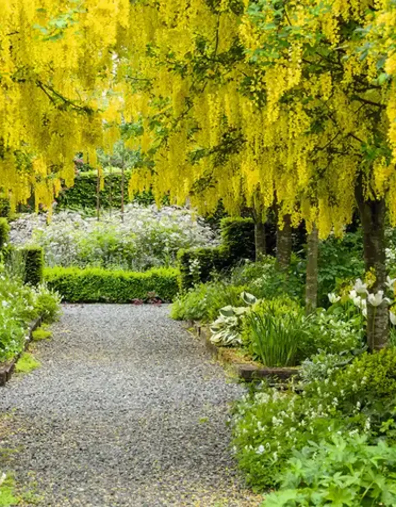 New Mags New Nordic Gardens
