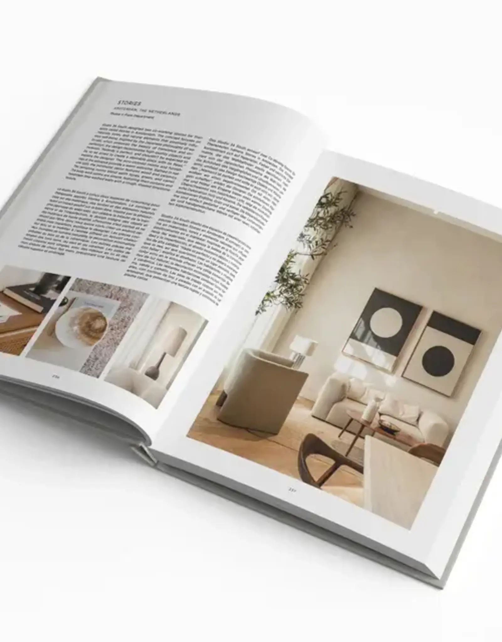New Mags The minimalist interior design book