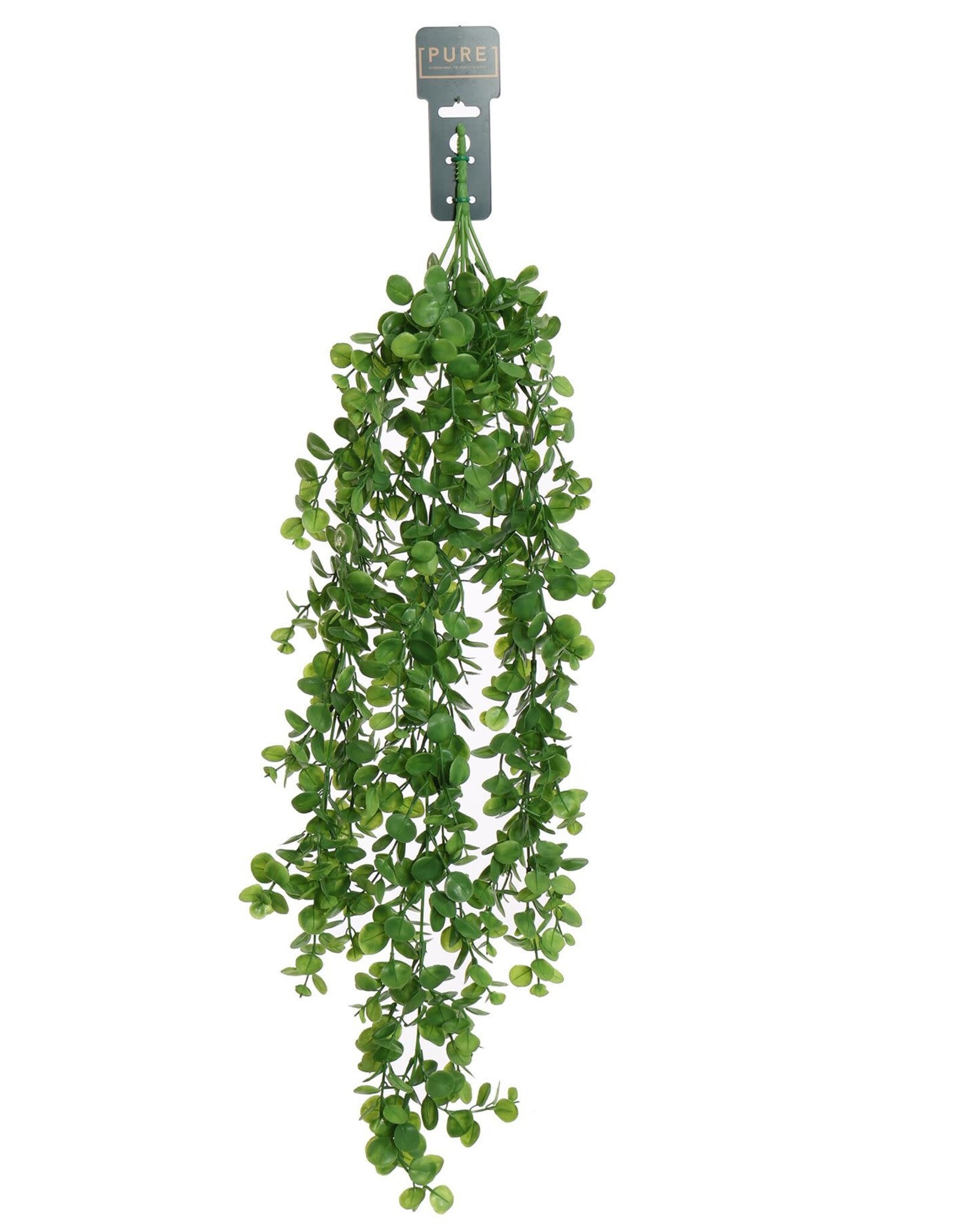 Pure Kunstplant - Eucalyptus 80 cm