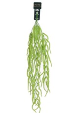 Pure Kunstplant - Vossenstaart 80cm