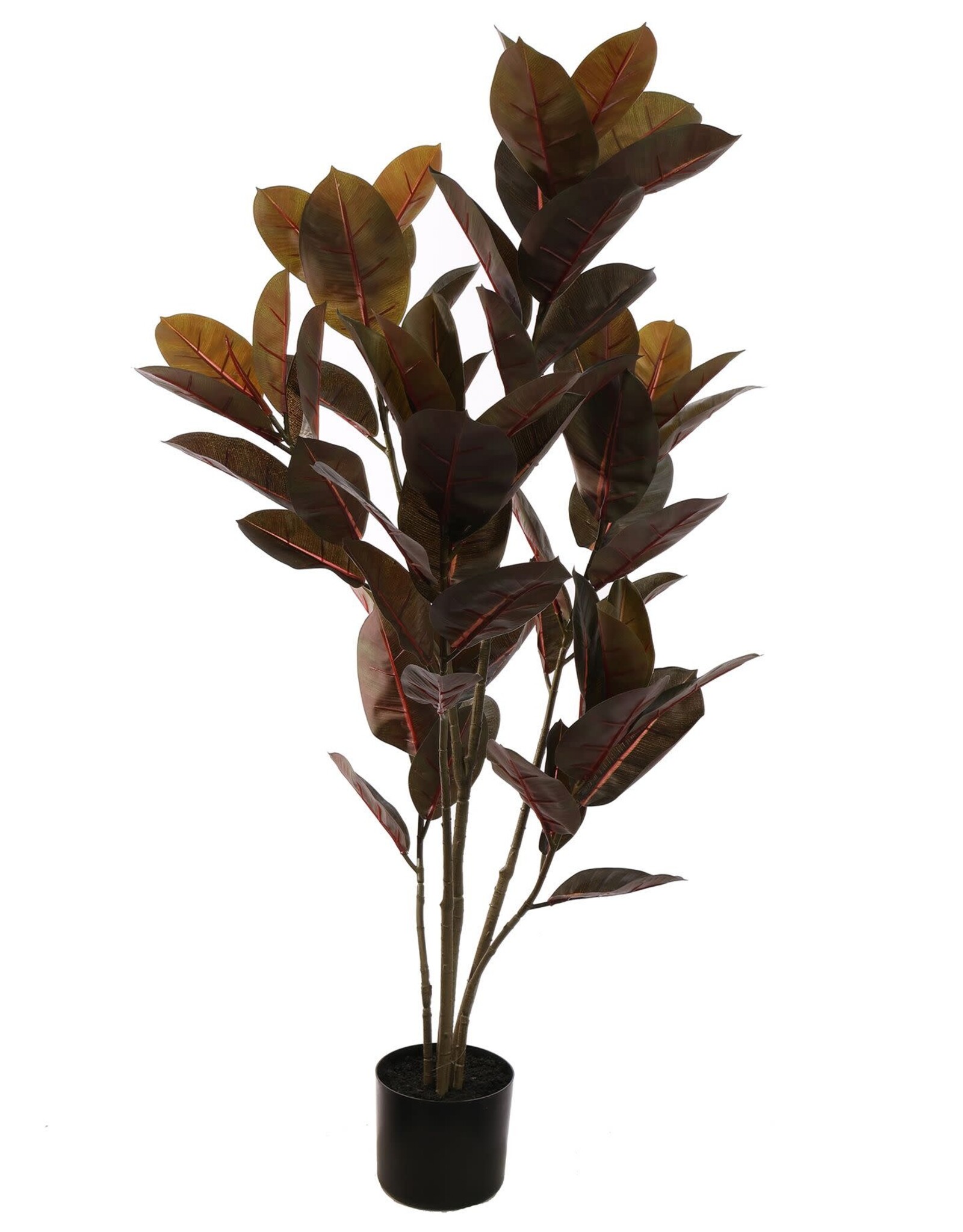 Pure Kunstbloem - Black rubber plant 120cm