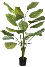 Pure Kunstplant - Calathea  140cm plant