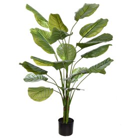 Kunstplant - Calathea  140cm plant