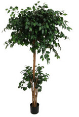 Kunstplant - French ficus 180 cm