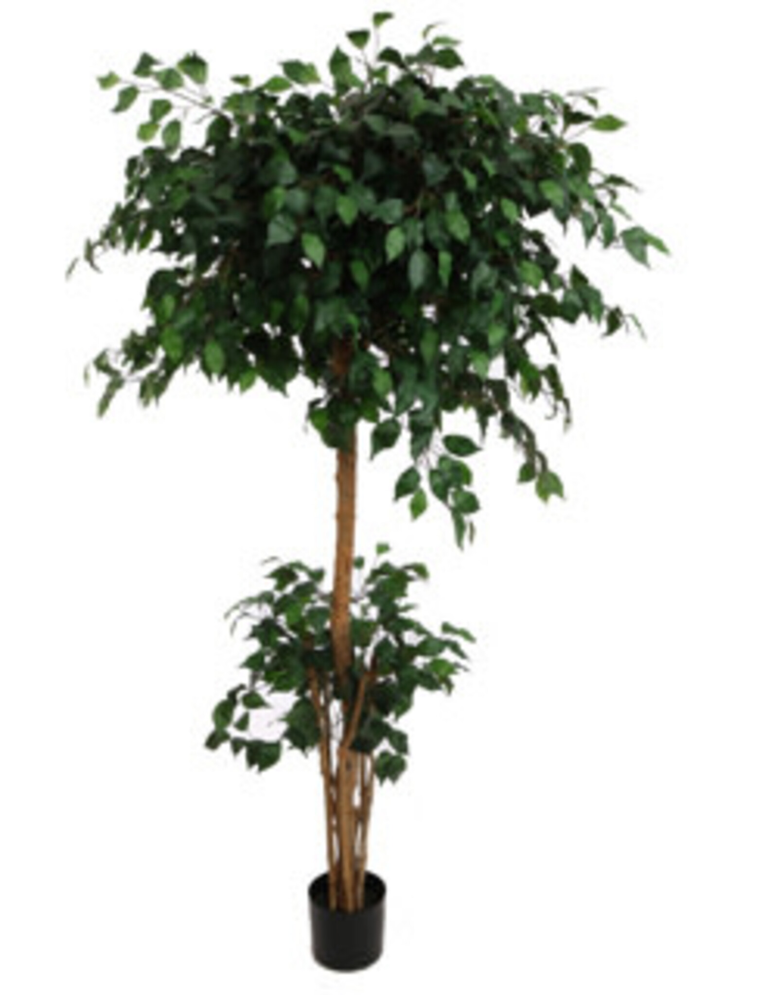 Kunstplant - French ficus 180 cm