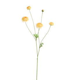Pure - Ranunculus 90cm yellow