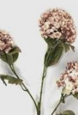 Plant - Viburum spray pink 88cm