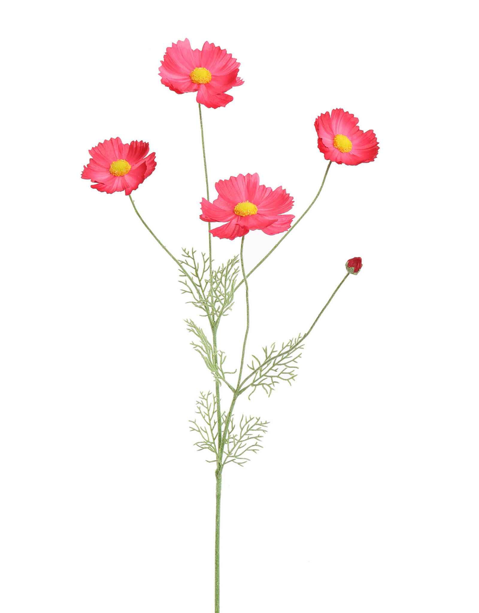 Pure - Cosmos 92cm roze