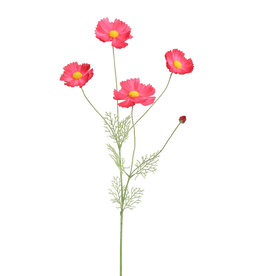 Pure - Cosmos 92cm roze