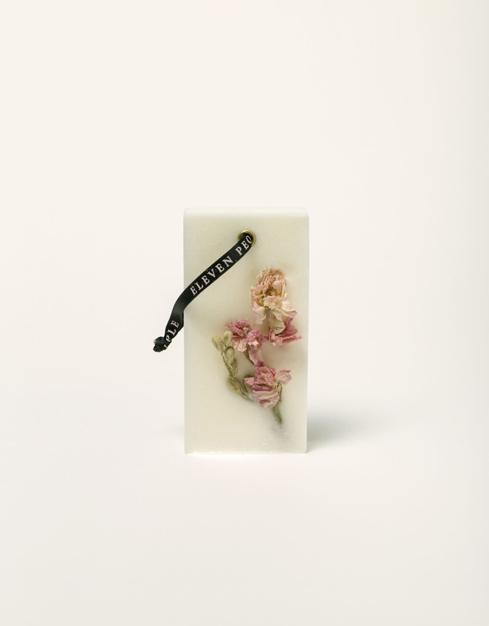 Kastverfrisser - Caracas