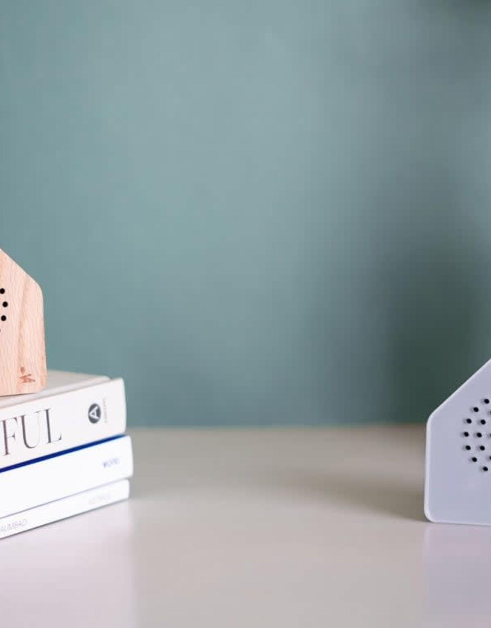 Zwitscherbox Satellitebox Forest brook wood