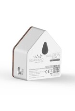 Zwitscherbox Satellitebox Forest brook wood