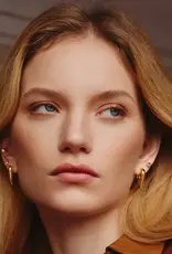 Ania Haie Oorbellen -  tiger eye huggie hoop - goud