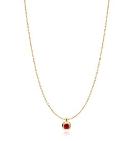Ania Haie Ketting - Crimson solitaire - goud