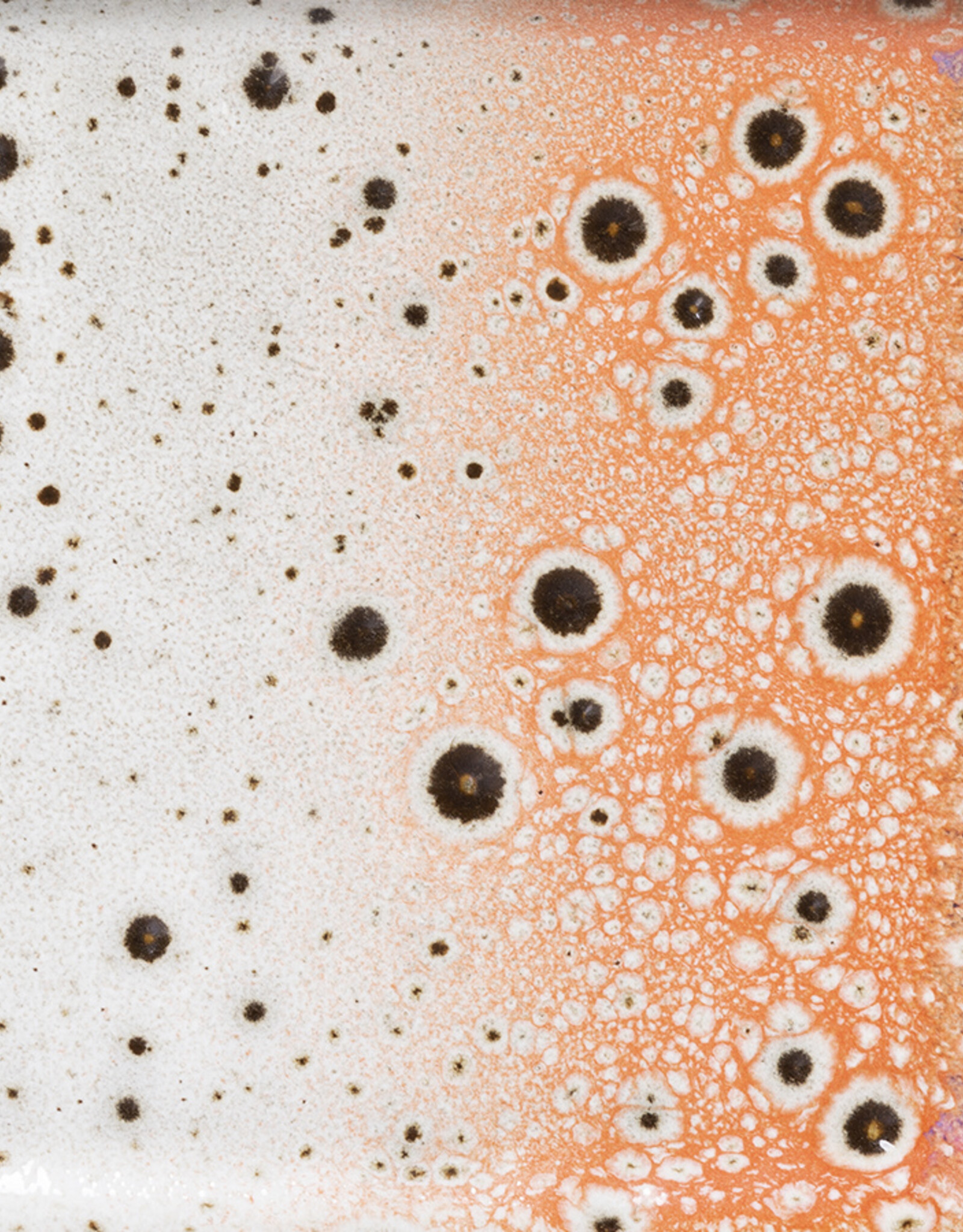 70's ceramic - Small trays - Atlas