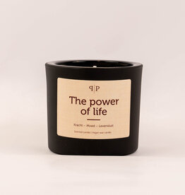 Pottie Pot Geurkaars met edelstenen - The power of life