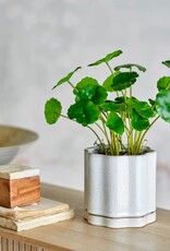 Bloomingville Bloempot met ruitpatroon en schotel, grijs, aardewerk