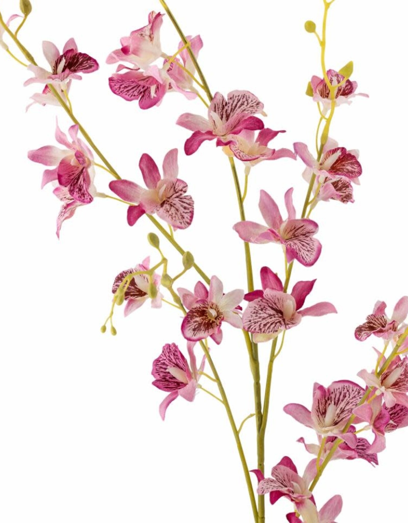 Bloomingville Kunstbloem - Orchideeënstengel, roos