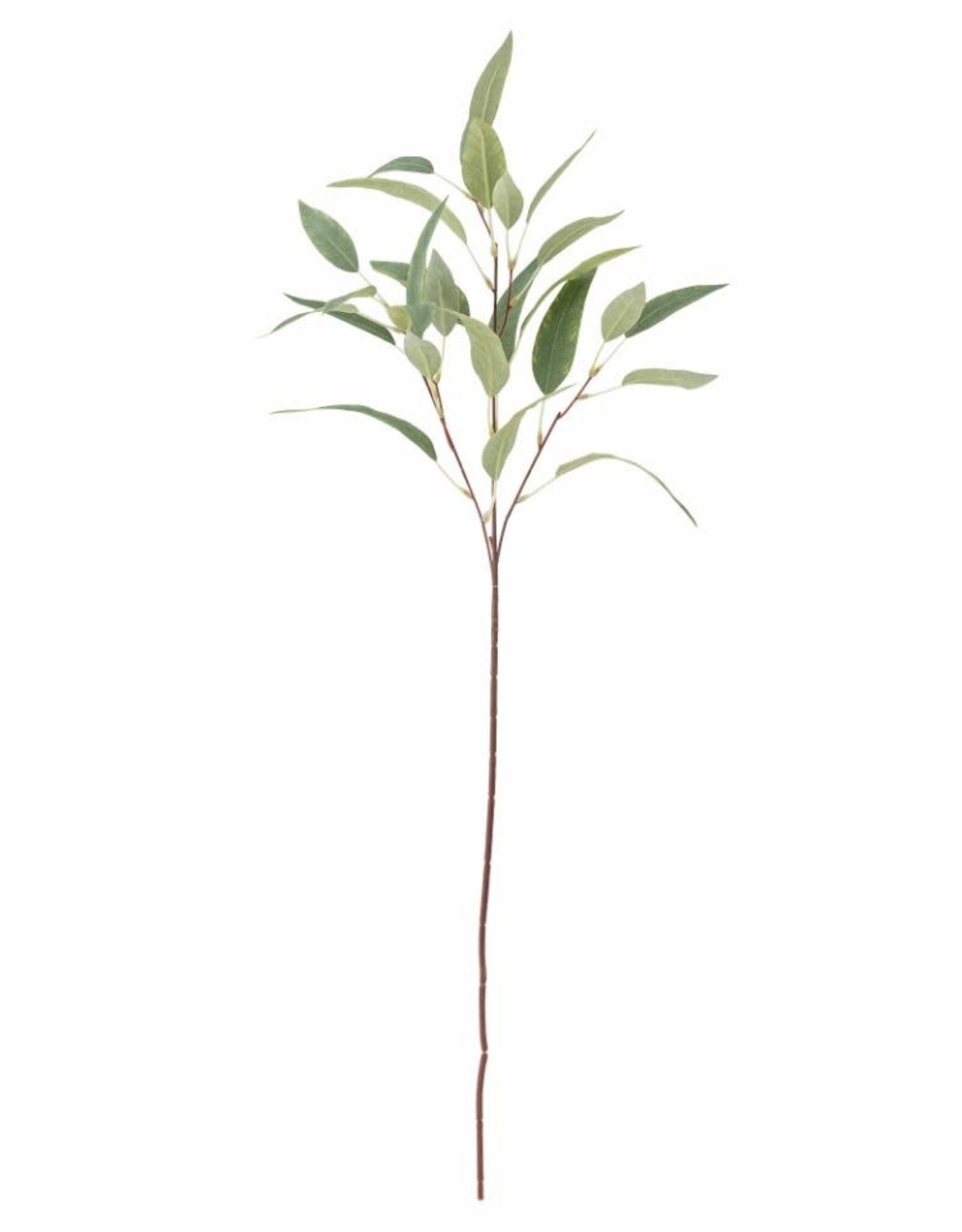 Bloomingville Kunstbloem - Eucalyptusstengel, groen H85cm