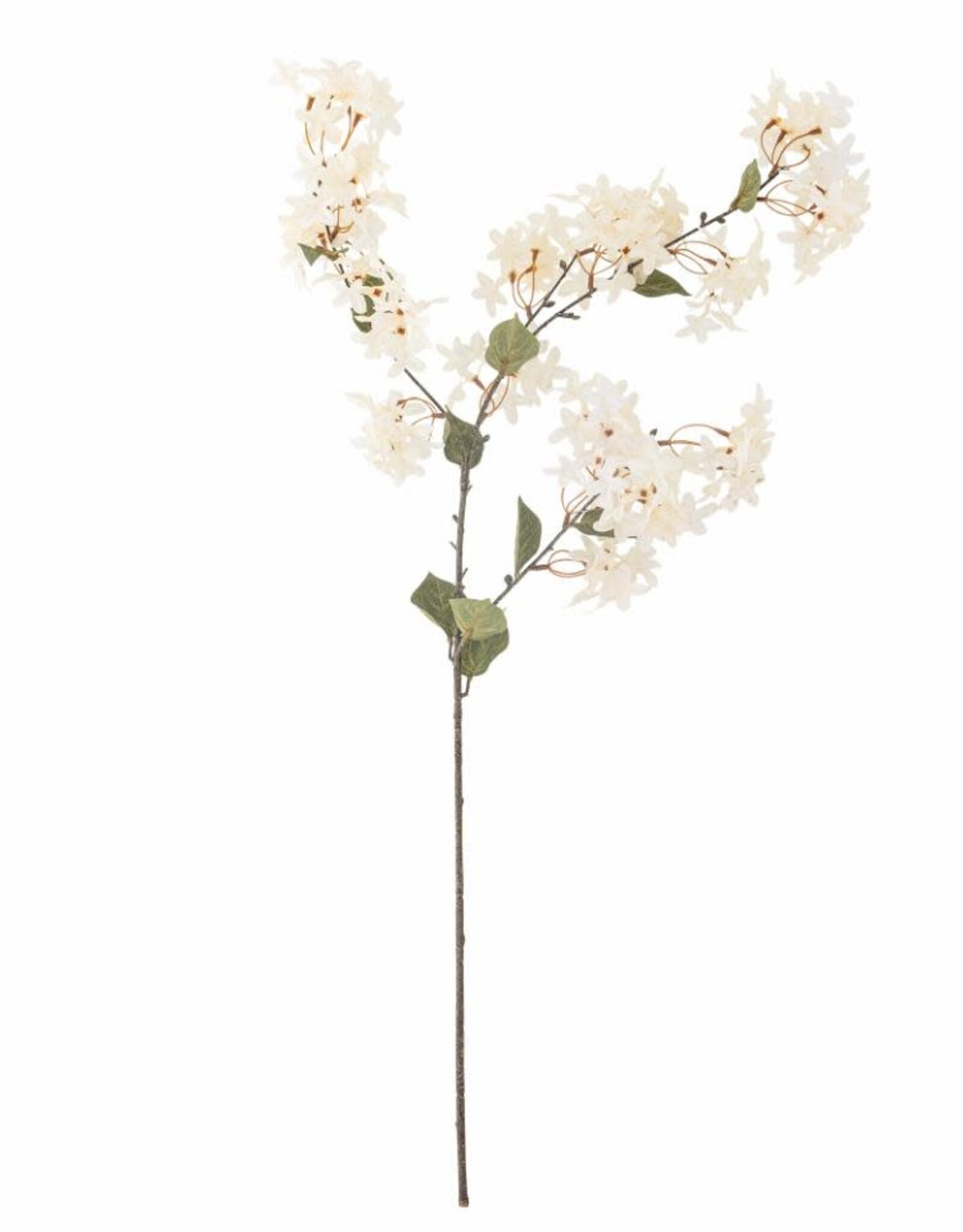 Bloomingville Kunstbloem - Mirtestengel, wit