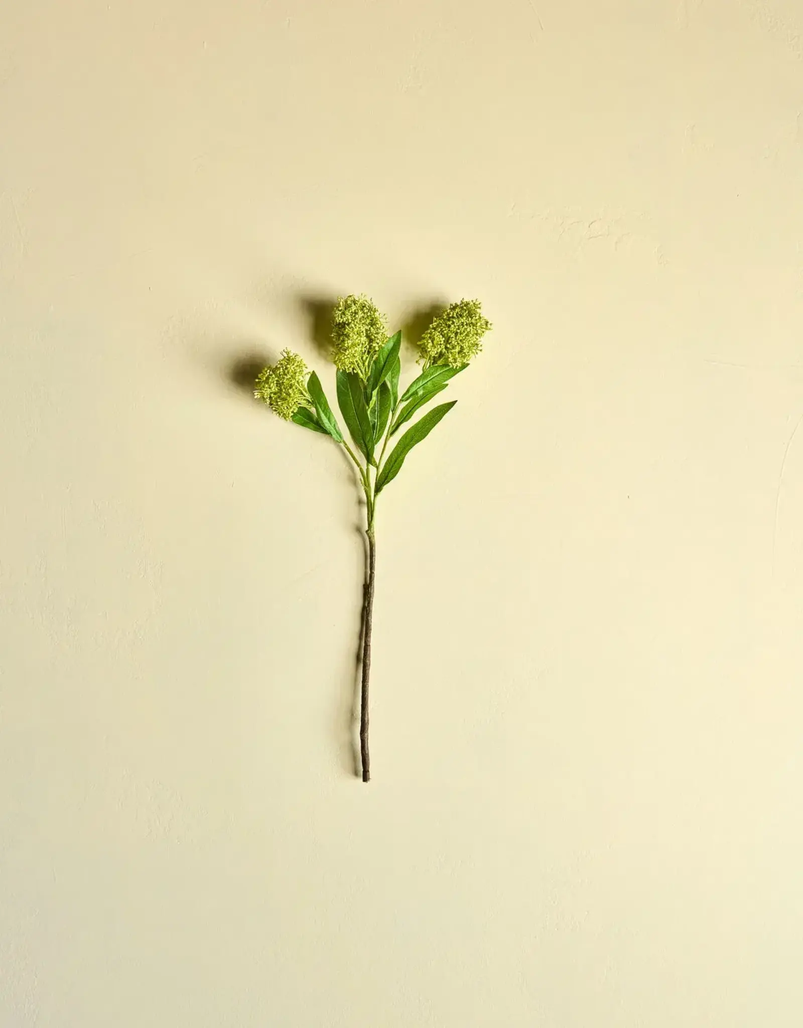 House Doctor Kunstbloem - HDskimmia green