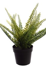 Jasaco Kunstplant - Fern in pot 27 cm