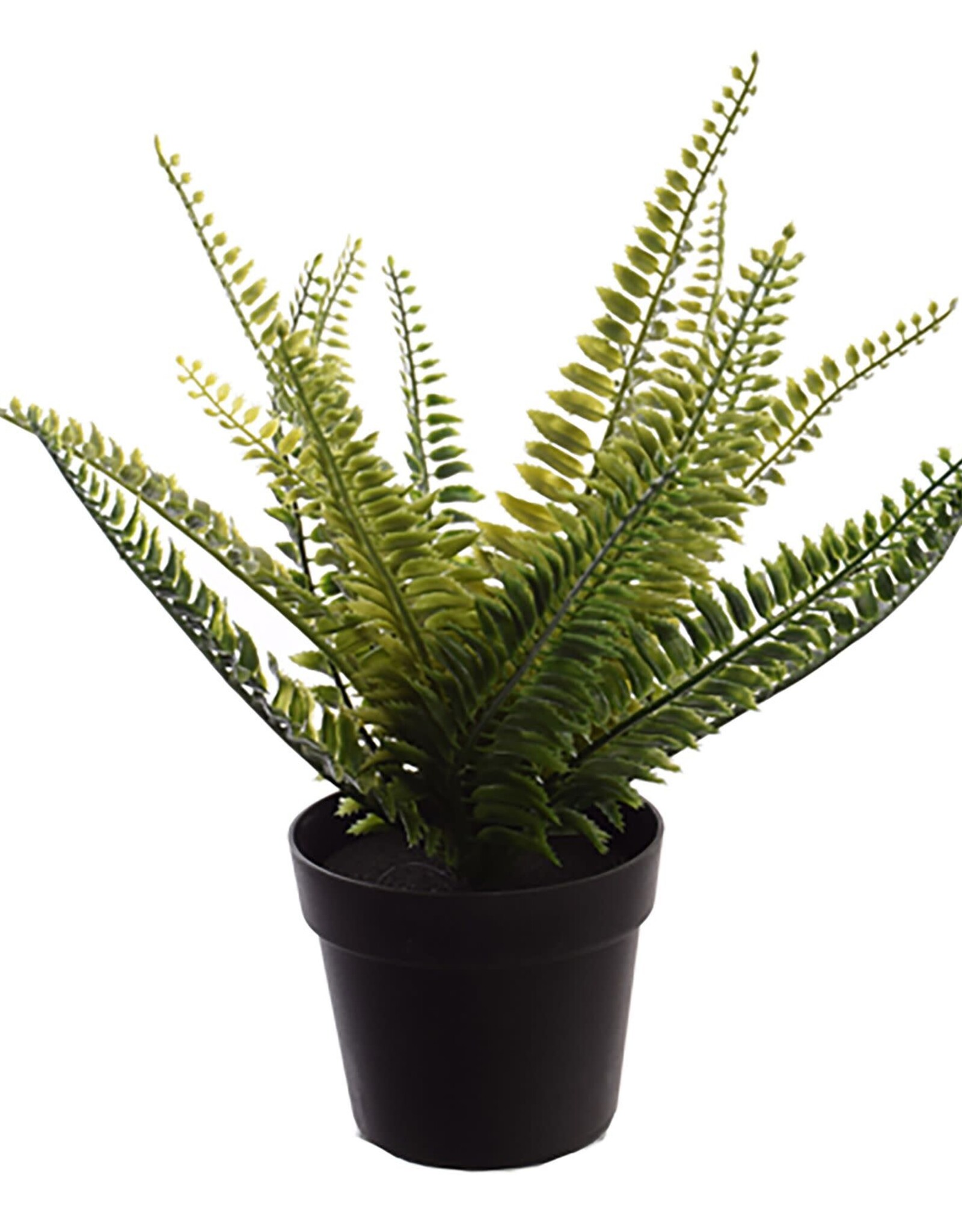 Jasaco Kunstplant - Fern in pot 27 cm