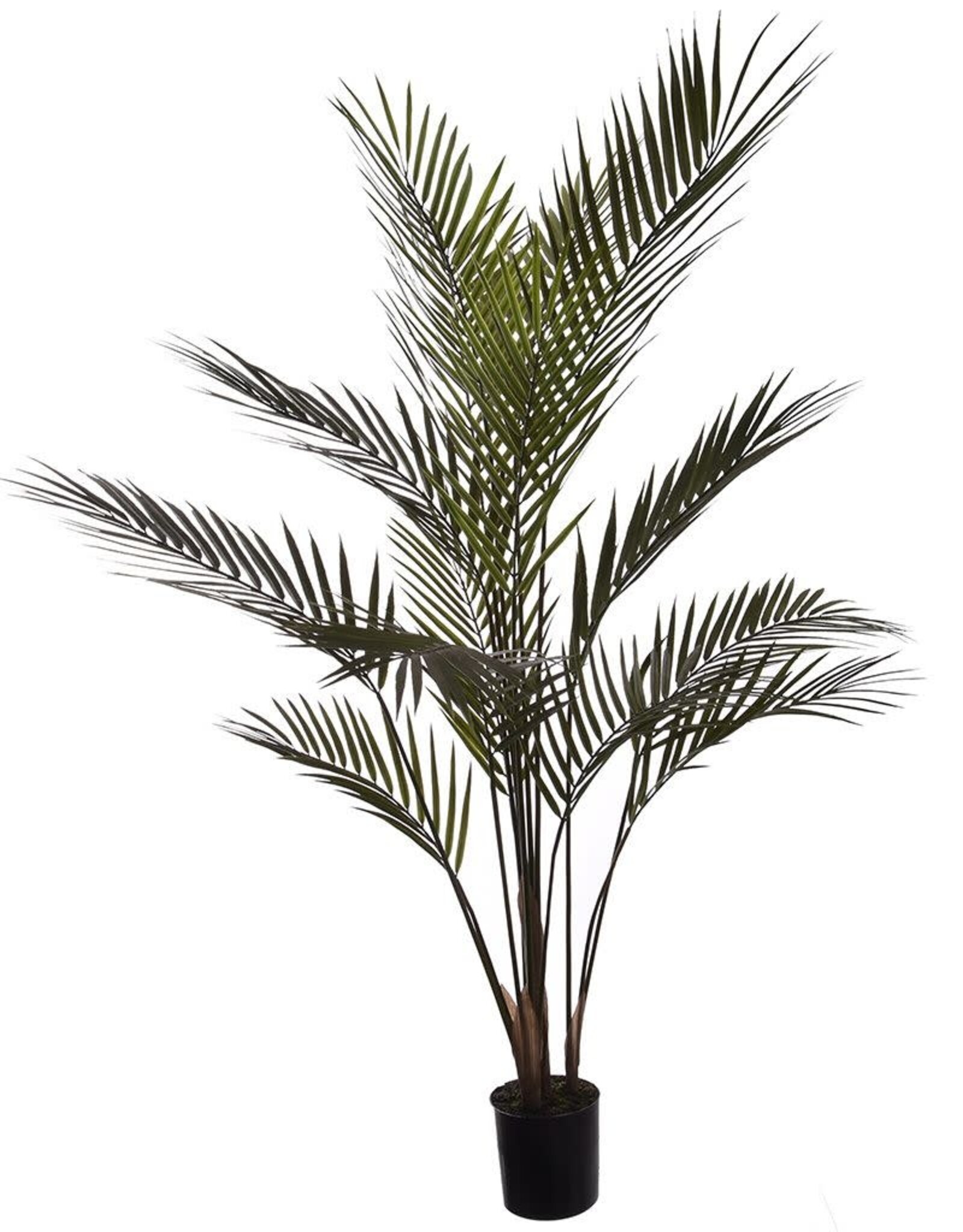 Jasaco Kunstplant - Areca palm in pot 55 cm