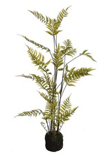 Jasaco Kunstplant - Fern on soil base 75 cm