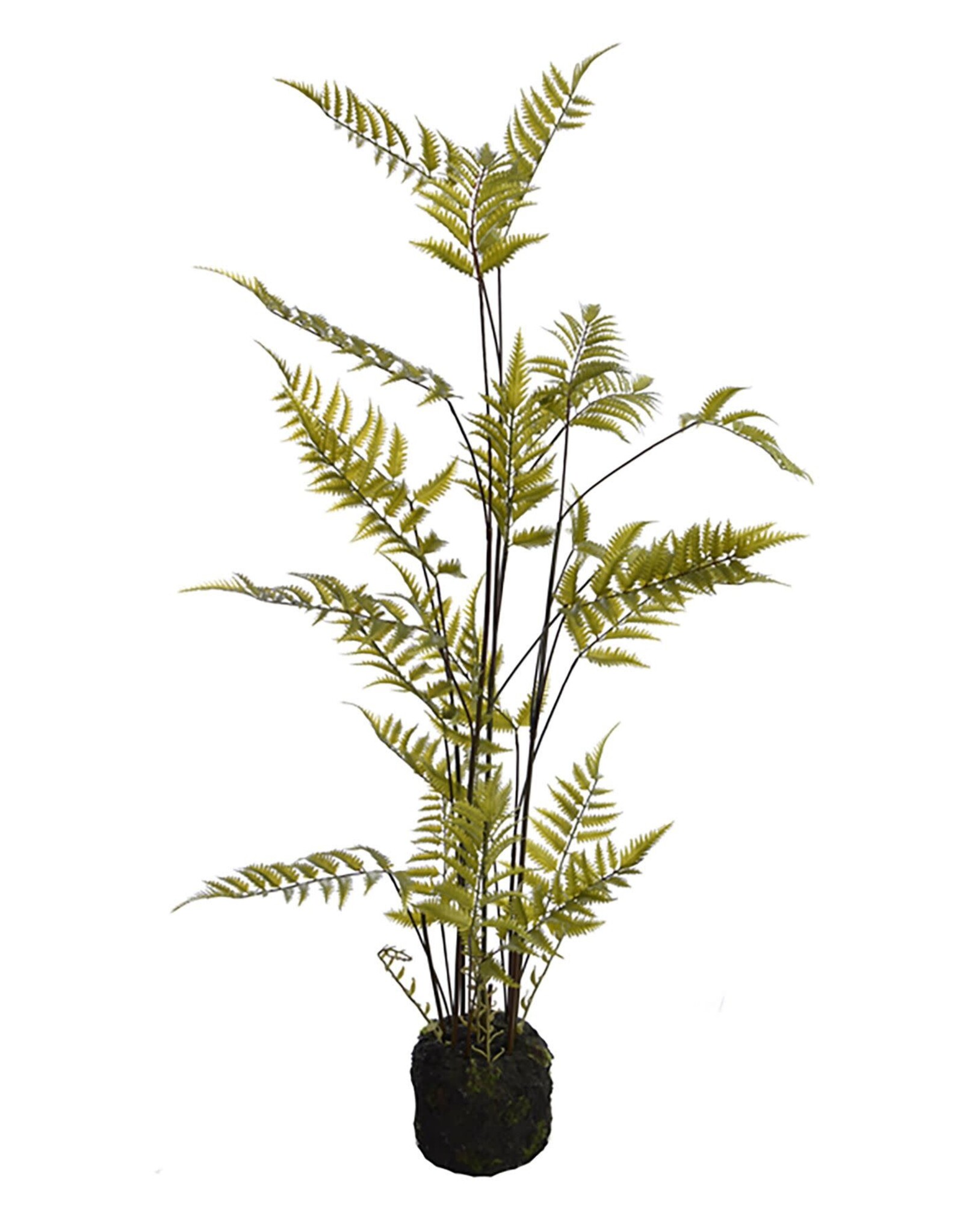 Jasaco Kunstplant - Fern on soil base 75 cm