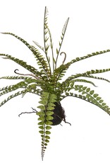 Jasaco Kunstplant - Fern on mud 57 cm