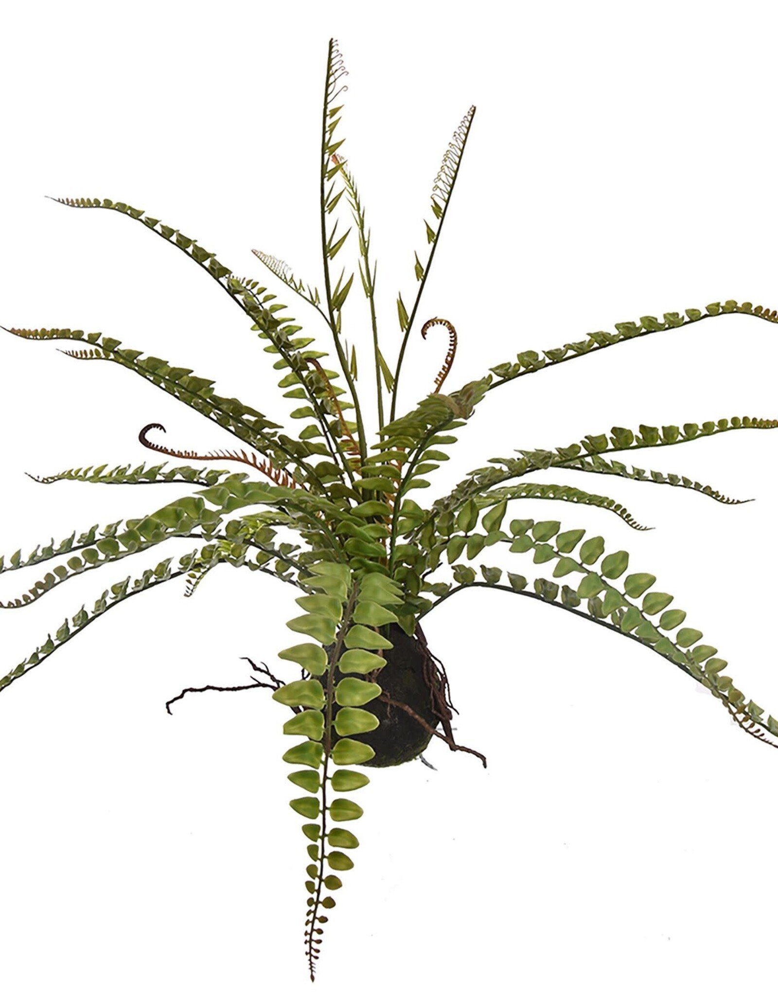 Jasaco Kunstplant - Fern on mud 57 cm