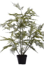 Jasaco Kunstplant - Asparagus 80 cm