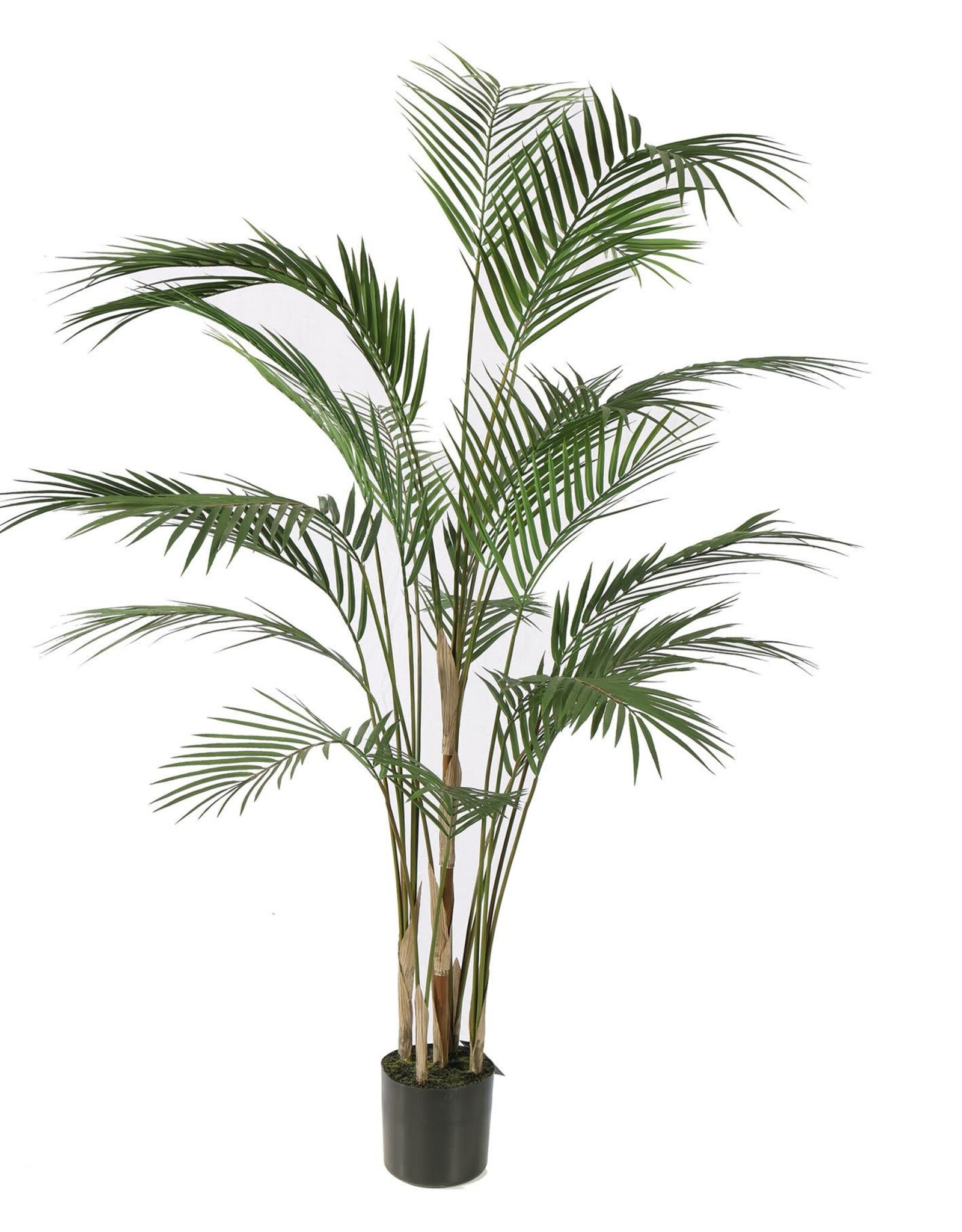 Jasaco Kunstplant - Areca palm in pot 125 cm